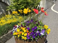 2017-04-29 12-13-53 dd39e501